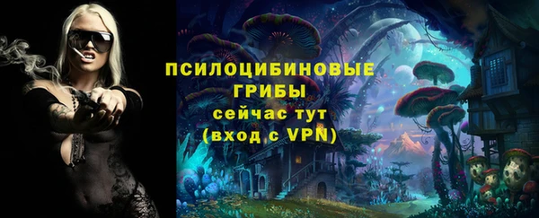 ГАЛЛЮЦИНОГЕННЫЕ ГРИБЫ Волосово