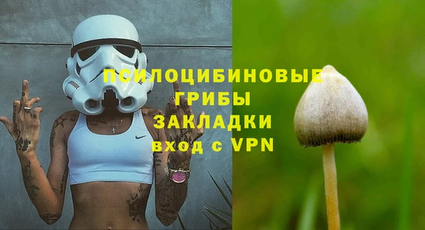 Альфа ПВП Володарск