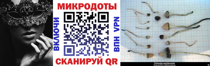 Псилоцибиновые грибы Psilocybine cubensis Лиски